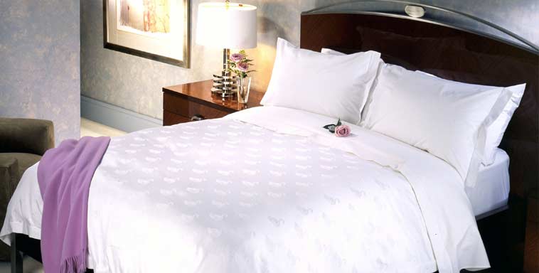 Harley Davidson Sportster